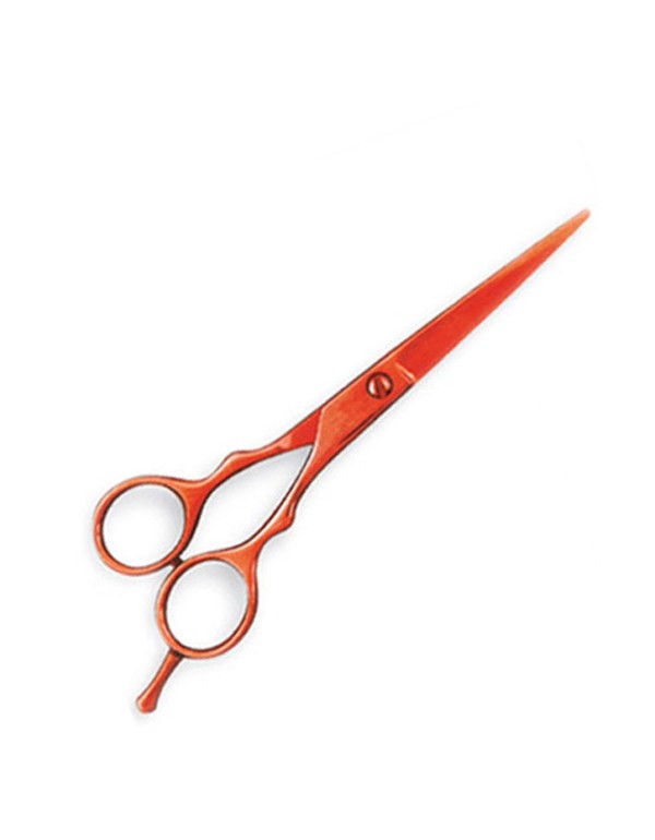 Hair Extension Scissors